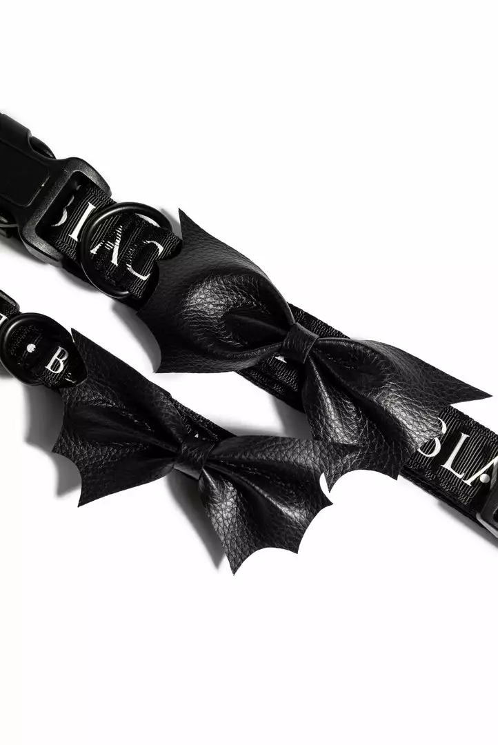CMT Pet Batwing - Dog Collar 6 CMT Pet Batwing - Dog Collar