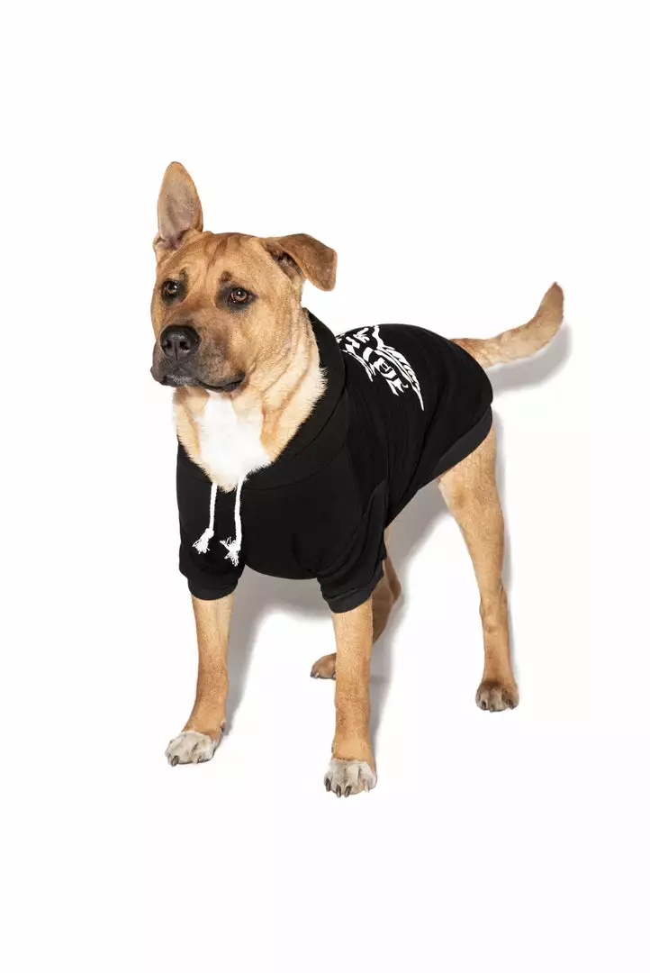 Blackcraft Cult BCC Goat - Pet Hoodie 3 Blackcraft Cult BCC Goat - Pet Hoodie