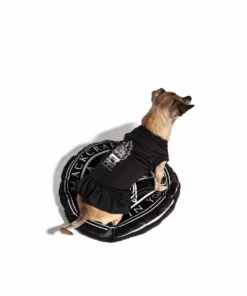 Blackcraft Cult Cauldron - Pet Dress