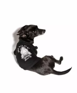 Blackcraft Cult Ghost With The Most - Pet Tee