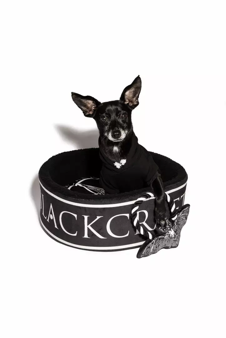 CMT Batcraft - Pet Toy 4 CMT Batcraft - Pet Toy