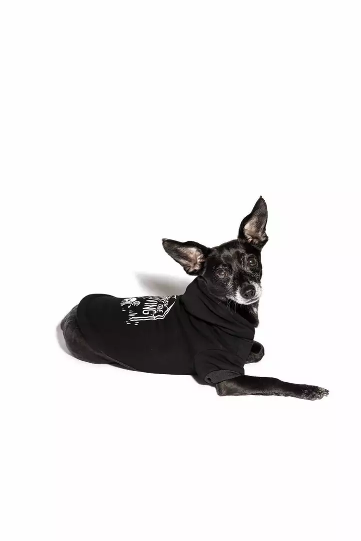 Blackcraft Cult Never Trust The Living - Pet Hoodie 4 Blackcraft Cult Never Trust The Living - Pet Hoodie