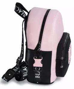 IDS Pink Staple Logo - Color Block Backpack Bags / Wallets