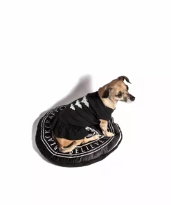 Blackcraft Cult Release The Bats - Pet Dress