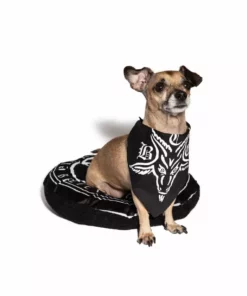 Blackcraft Cult BCC Goat - Pet Bandana