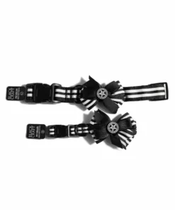 CMT Believe In Yourself - Dog Collar