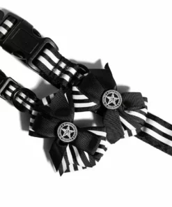 CMT Believe In Yourself - Dog Collar