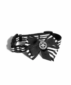 CMT Believe In Yourself - Dog Collar