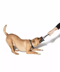 CMT Batcraft - Pet Toy 9 CMT Batcraft - Pet Toy