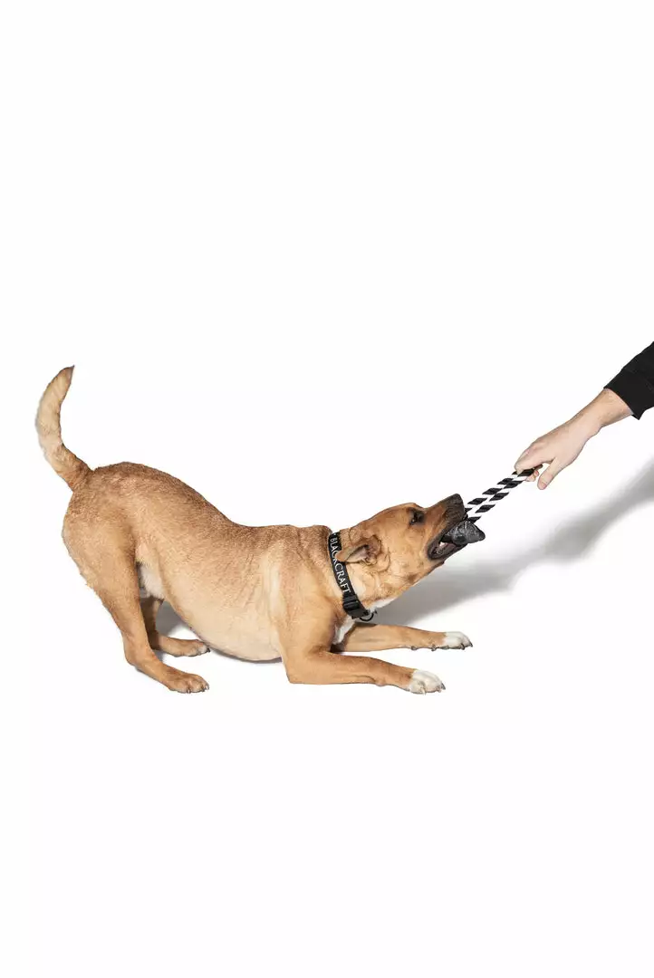 CMT Batcraft - Pet Toy 5 CMT Batcraft - Pet Toy